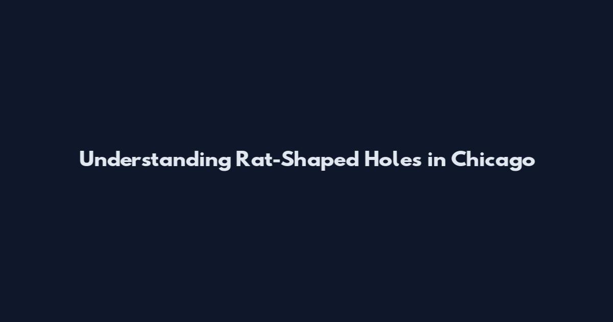 Understanding Rat-Shaped Holes in Chicago