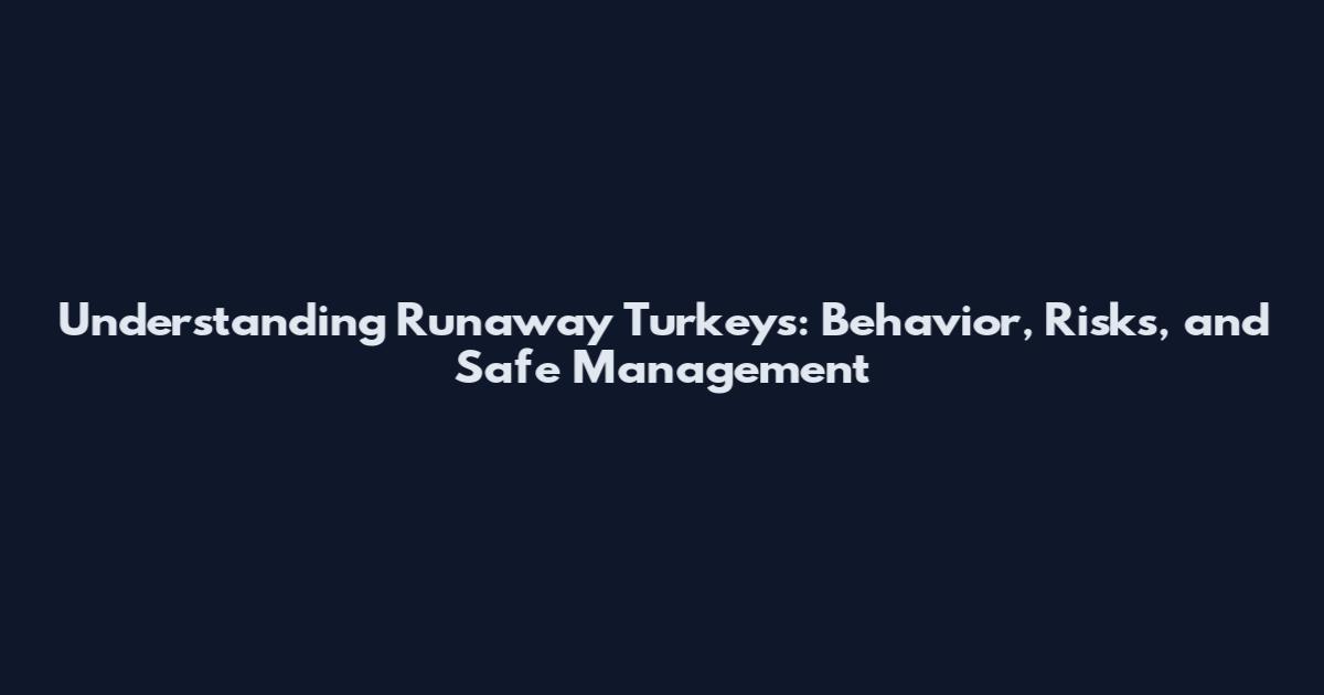 Understanding Runaway Turkeys: Behavior, Risks, and Safe Management
