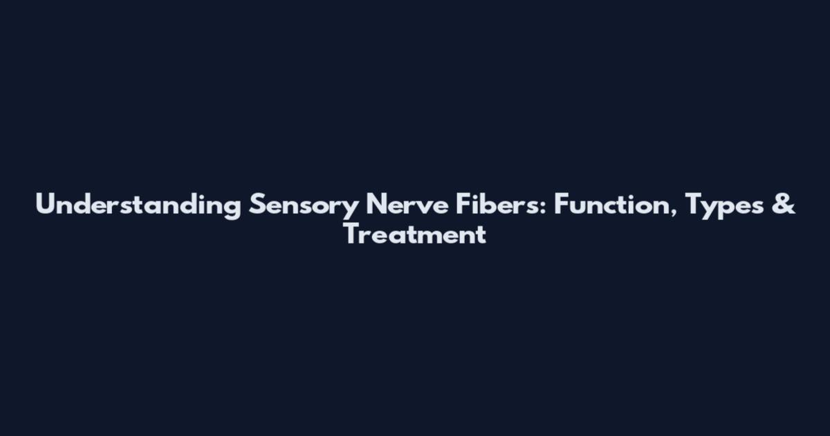Understanding Sensory Nerve Fibers: Function, Types & Treatment