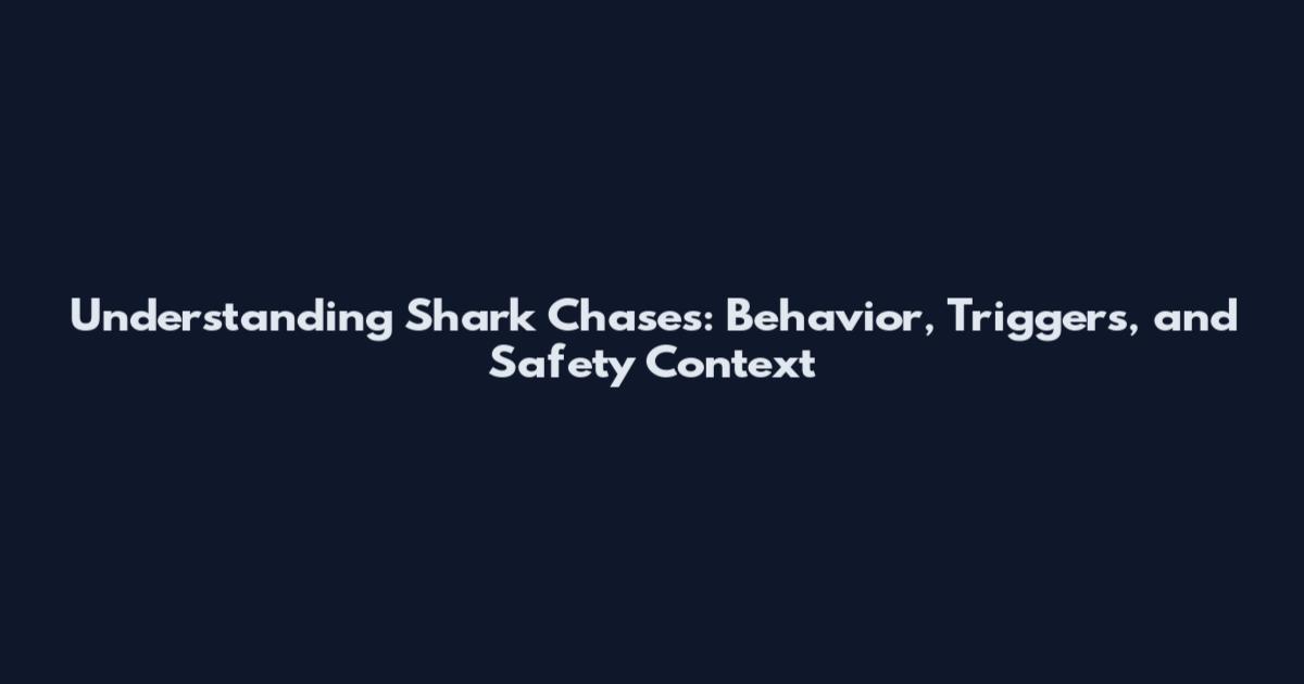 Understanding Shark Chases: Behavior, Triggers, and Safety Context