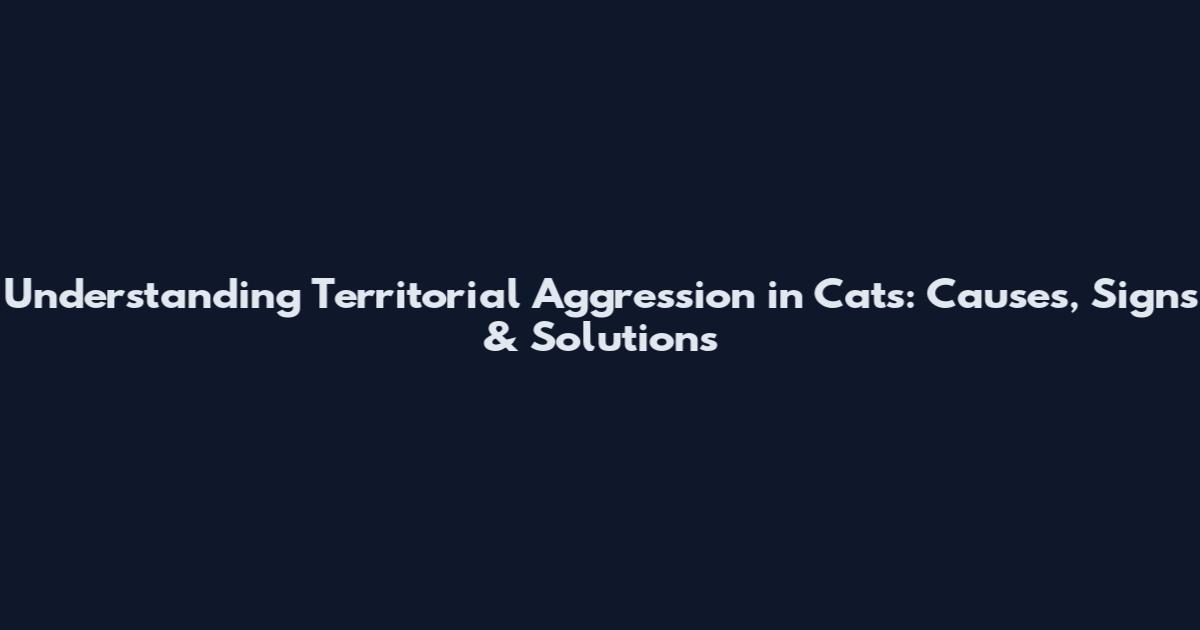 Understanding Territorial Aggression in Cats: Causes, Signs & Solutions