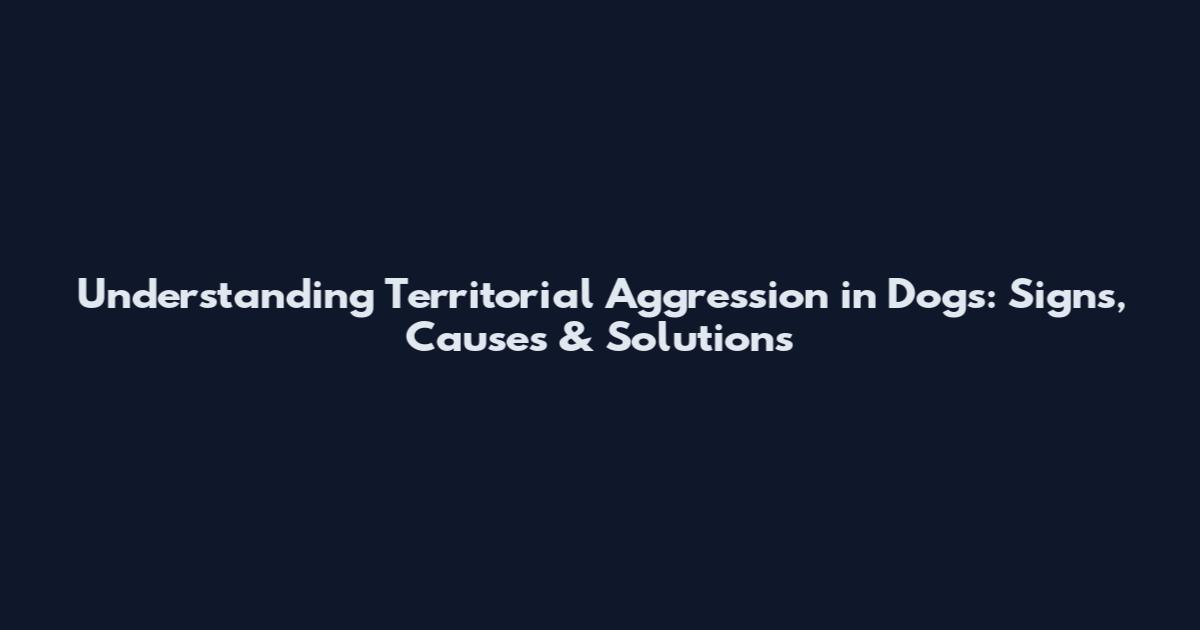 Understanding Territorial Aggression in Dogs: Signs, Causes & Solutions