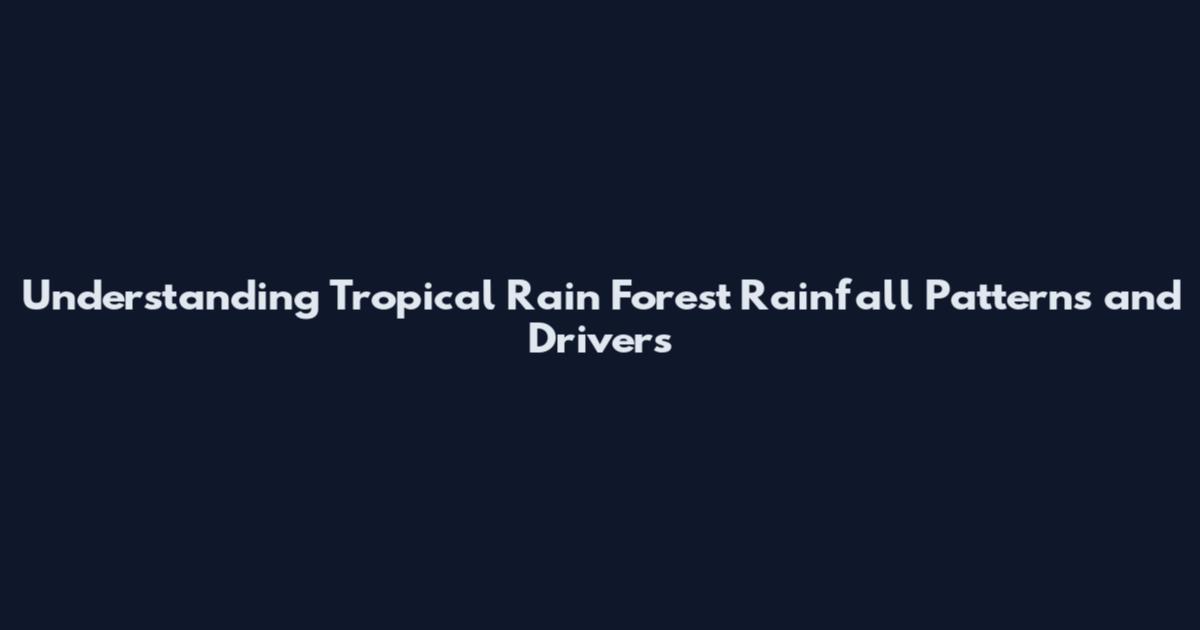 Understanding Tropical Rain Forest Rainfall Patterns and Drivers
