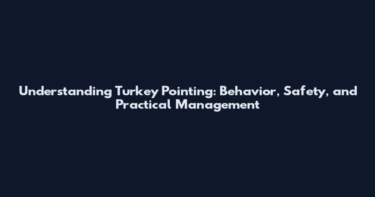 Understanding Turkey Pointing: Behavior, Safety, and Practical Management