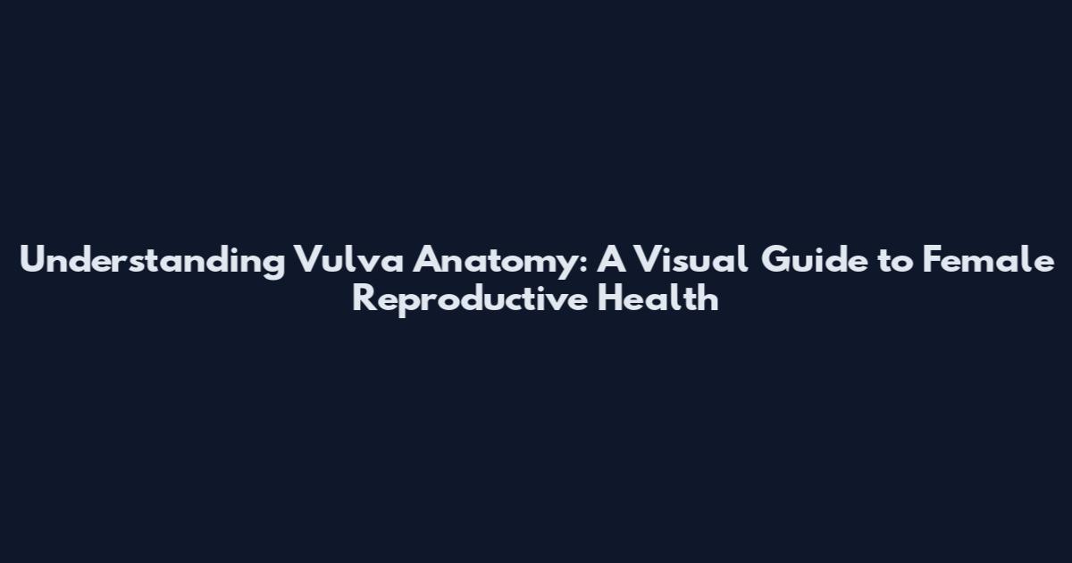 Understanding Vulva Anatomy: A Visual Guide to Female Reproductive Health