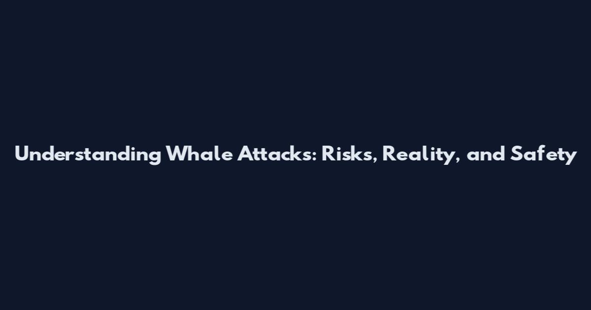 Understanding Whale Attacks: Risks, Reality, and Safety