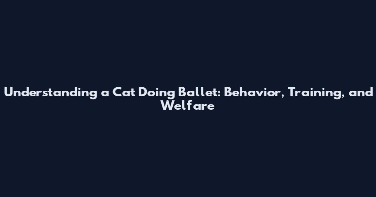 Understanding a Cat Doing Ballet: Behavior, Training, and Welfare