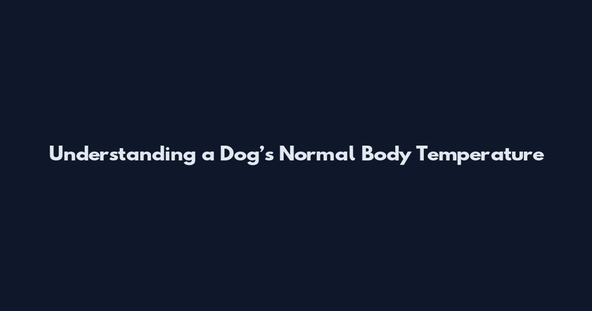 Understanding a Dog’s Normal Body Temperature