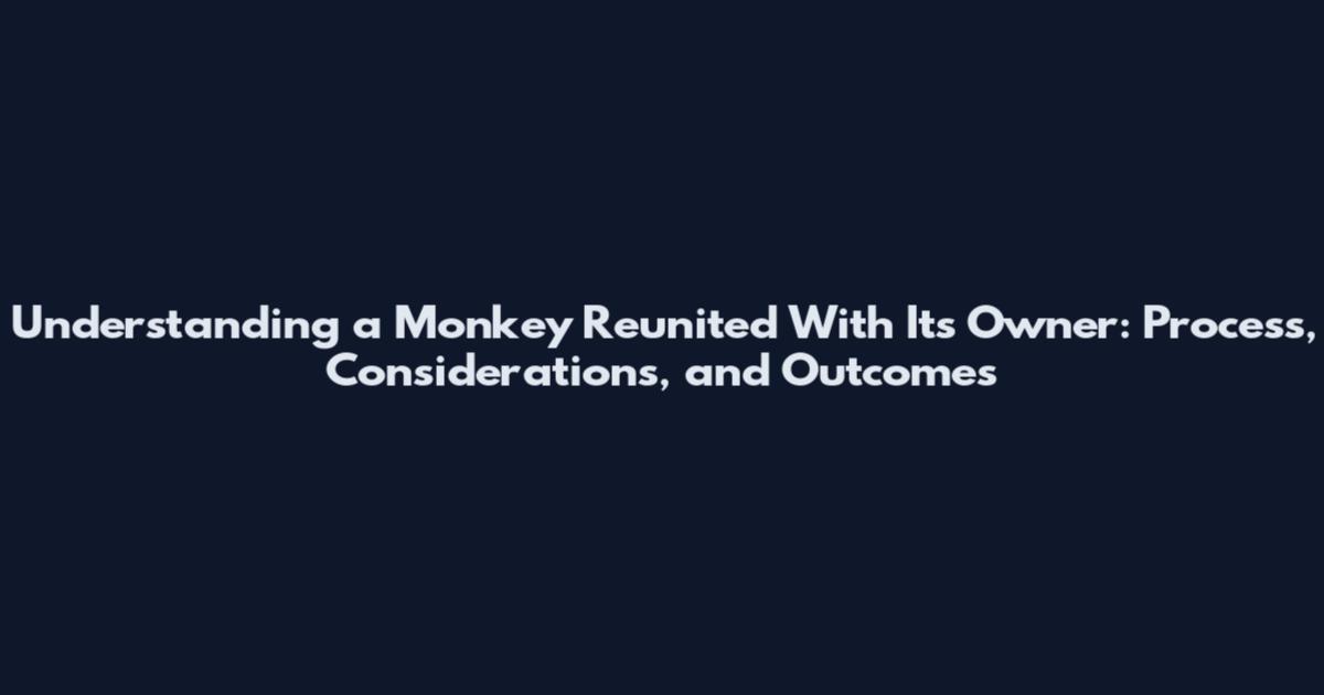 Understanding a Monkey Reunited With Its Owner: Process, Considerations, and Outcomes