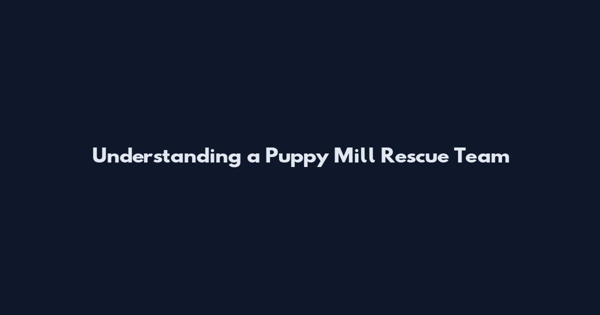 Understanding a Puppy Mill Rescue Team
