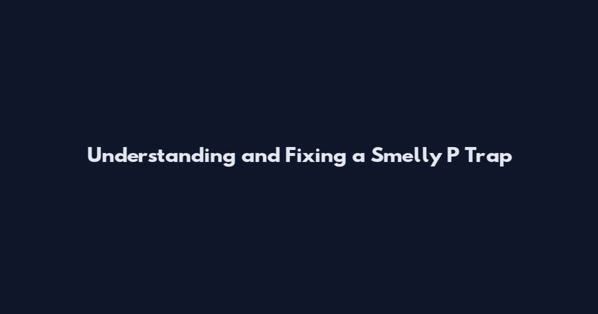 Understanding and Fixing a Smelly P Trap