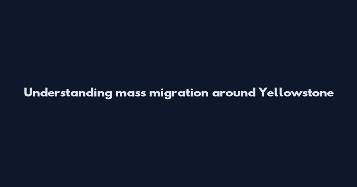 Understanding mass migration around Yellowstone