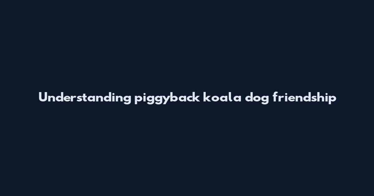 Understanding piggyback koala dog friendship