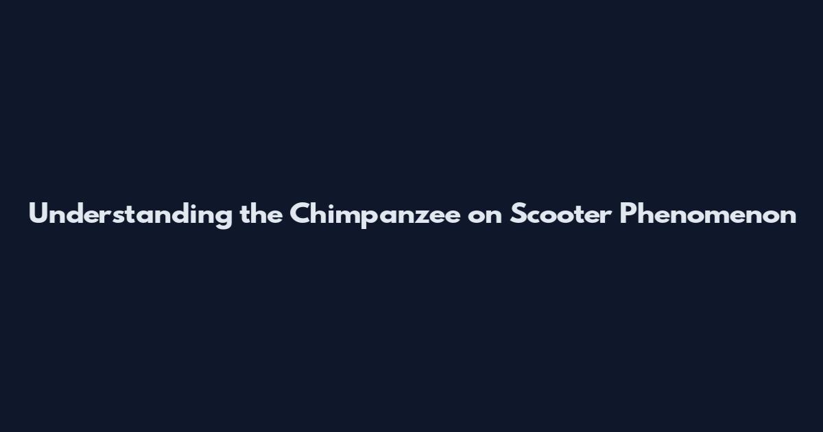 Understanding the Chimpanzee on Scooter Phenomenon