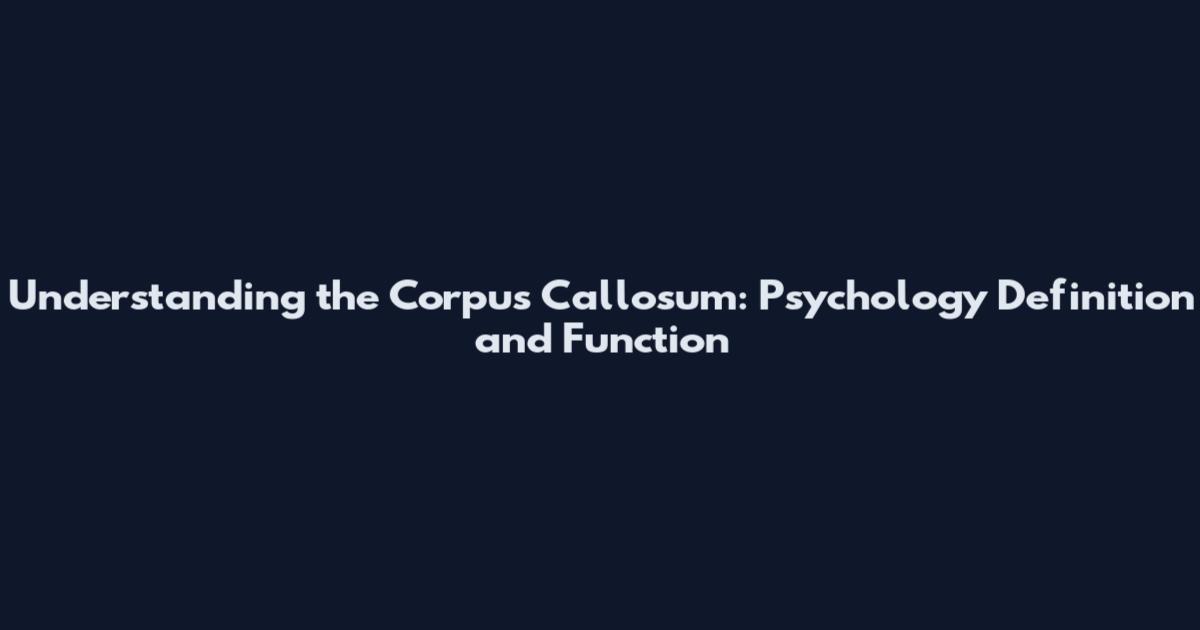 Understanding the Corpus Callosum: Psychology Definition and Function