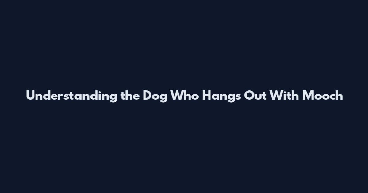 Understanding the Dog Who Hangs Out With Mooch