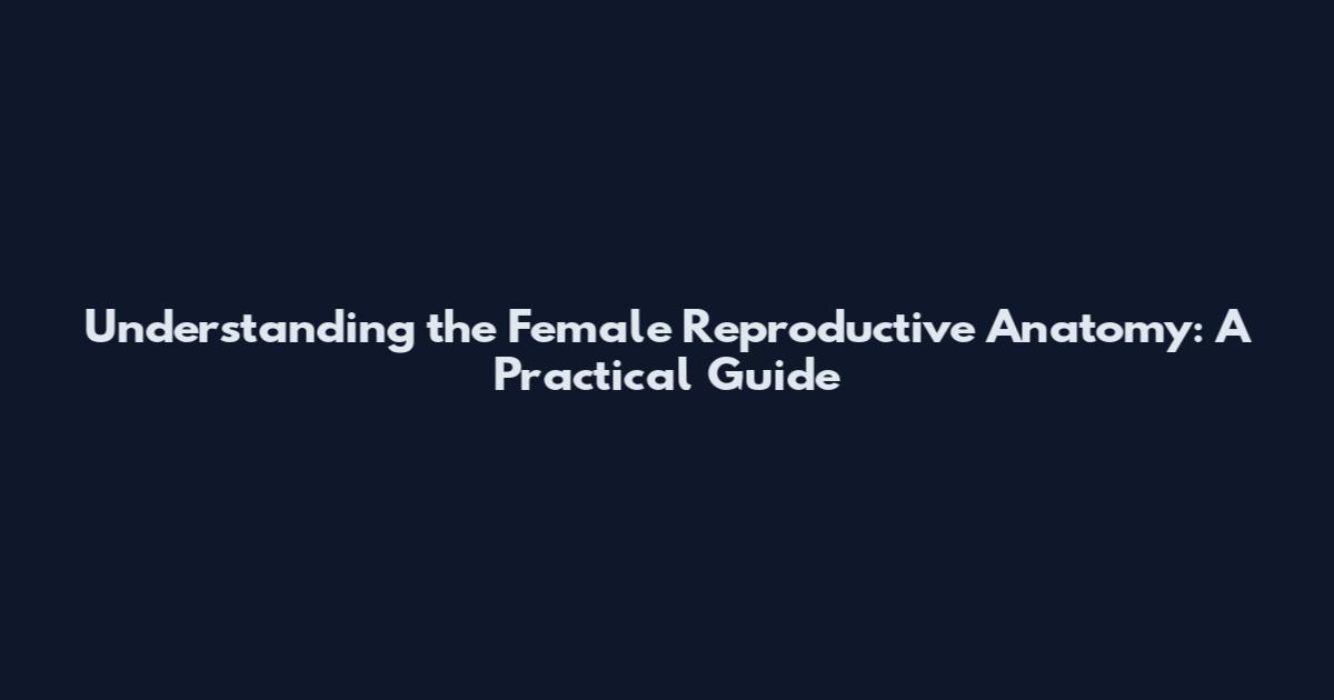 Understanding the Female Reproductive Anatomy: A Practical Guide