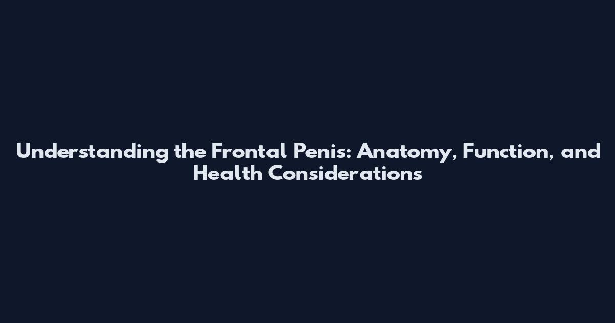 Understanding the Frontal Penis: Anatomy, Function, and Health Considerations
