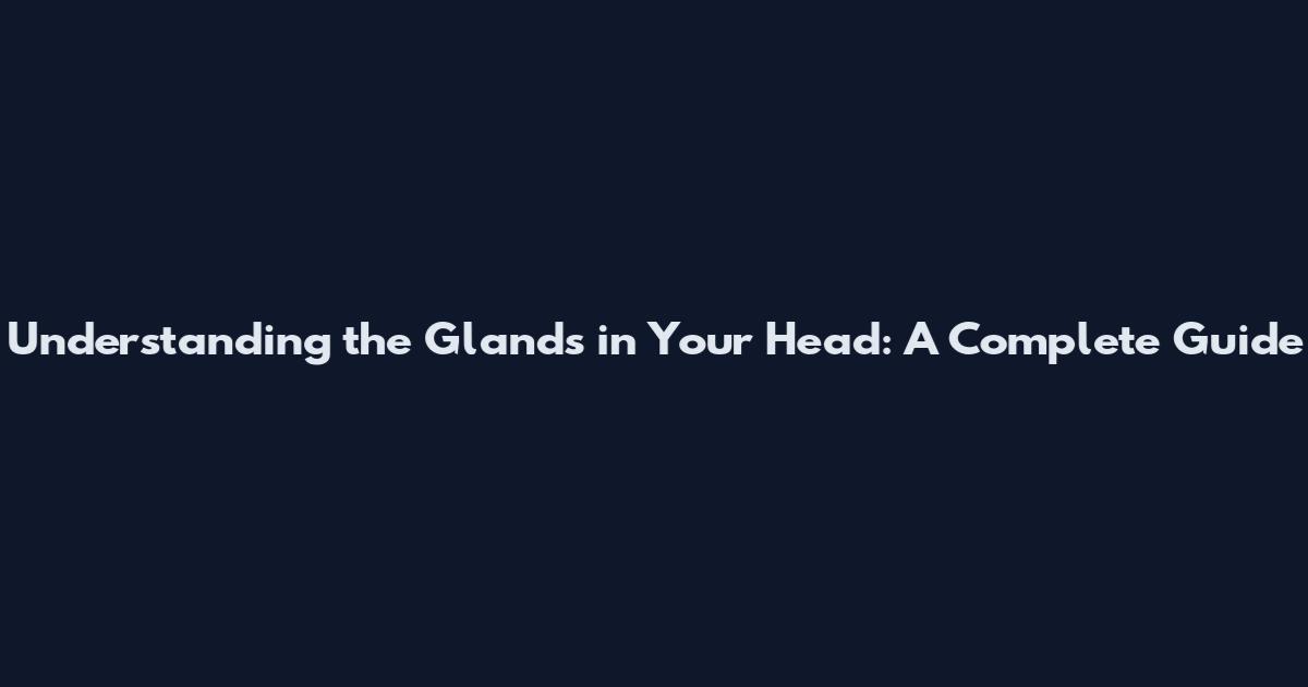 Understanding the Glands in Your Head: A Complete Guide