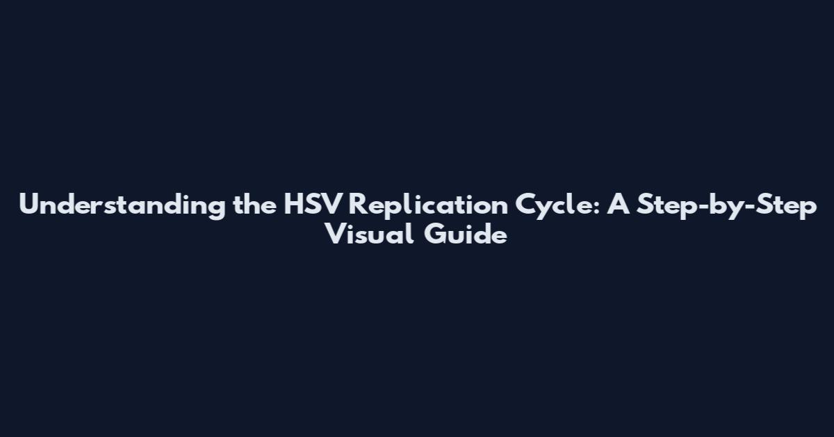 Understanding the HSV Replication Cycle: A Step-by-Step Visual Guide