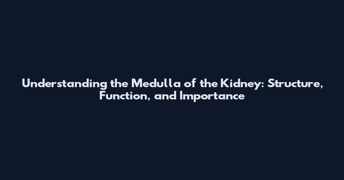 Understanding the Medulla of the Kidney: Structure, Function, and Importance