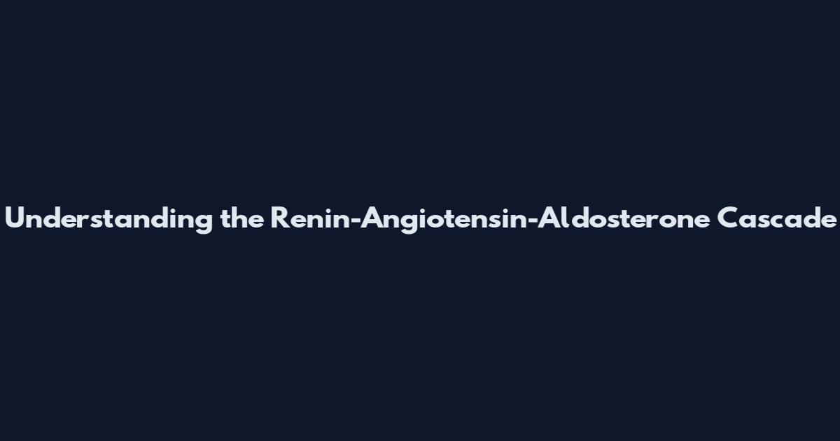 Understanding the Renin-Angiotensin-Aldosterone Cascade