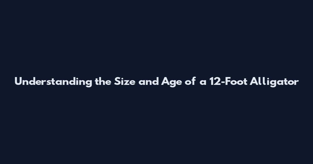 Understanding the Size and Age of a 12-Foot Alligator
