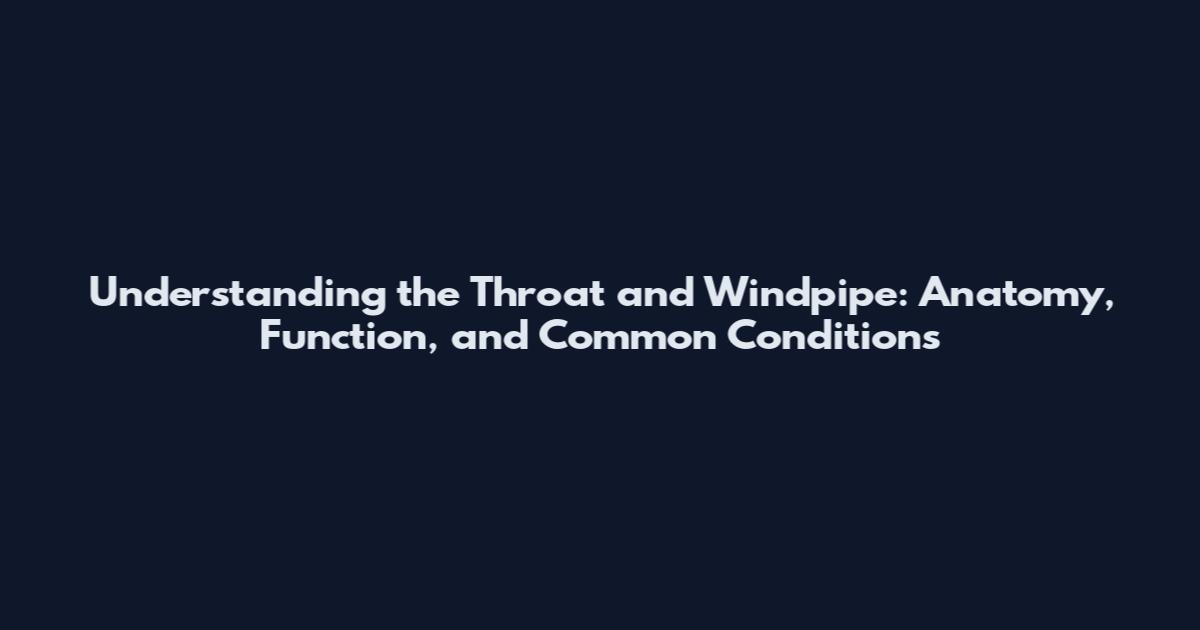 Understanding the Throat and Windpipe: Anatomy, Function, and Common Conditions
