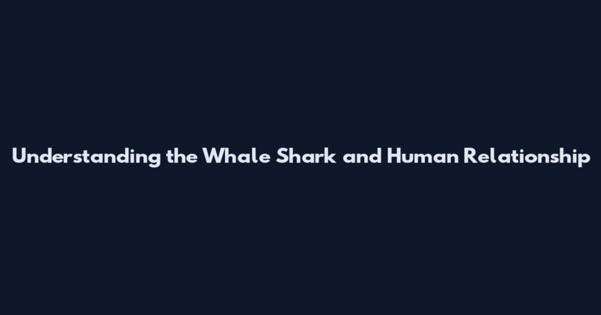 Understanding the Whale Shark and Human Relationship