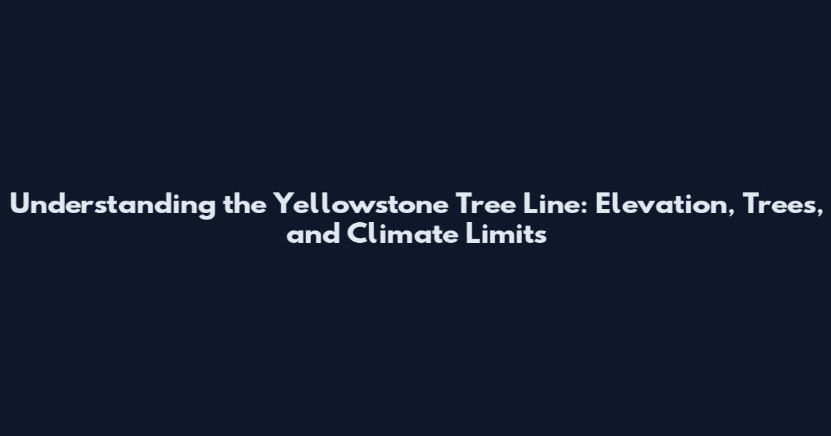 Understanding the Yellowstone Tree Line: Elevation, Trees, and Climate Limits