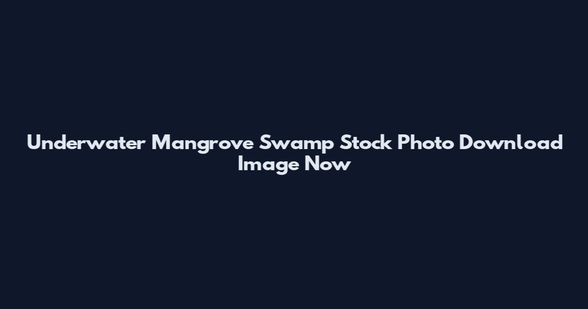 Underwater Mangrove Swamp Stock Photo Download Image Now