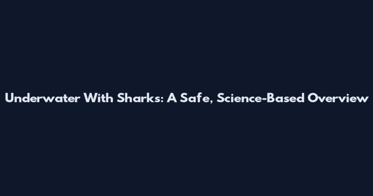 Underwater With Sharks: A Safe, Science-Based Overview