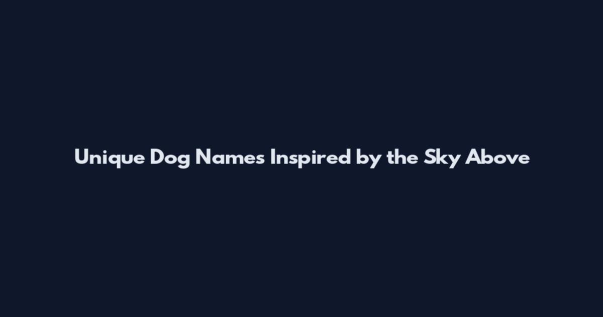 Unique Dog Names Inspired by the Sky Above