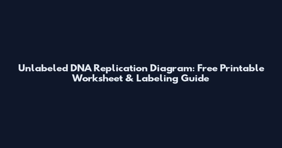 Unlabeled DNA Replication Diagram: Free Printable Worksheet & Labeling Guide