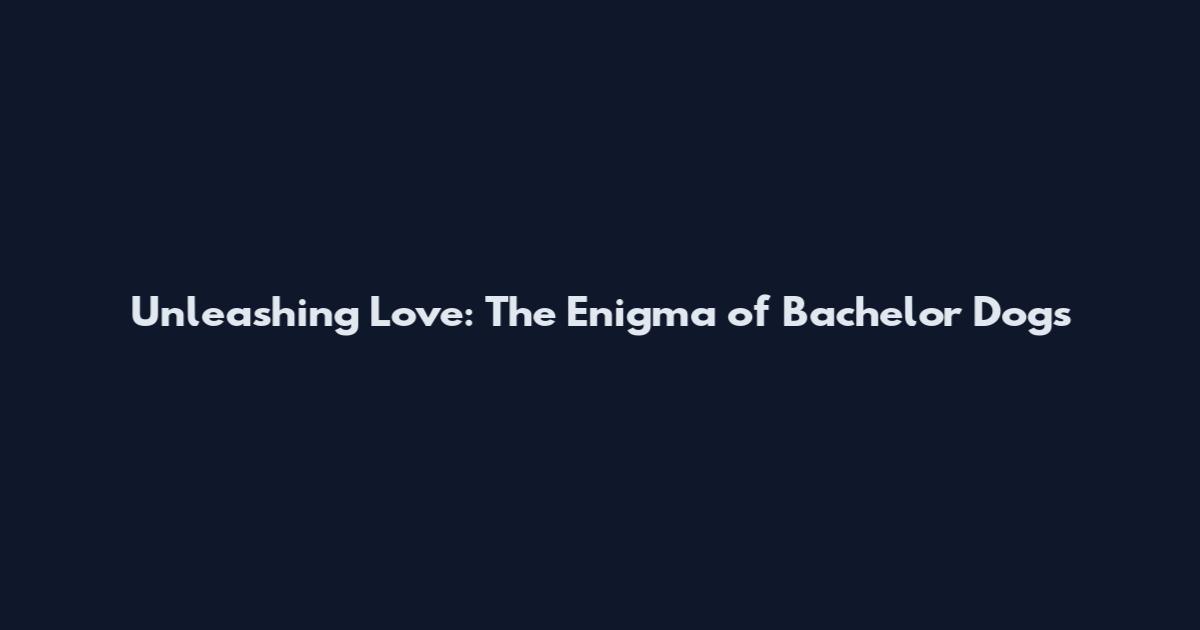 Unleashing Love: The Enigma of Bachelor Dogs