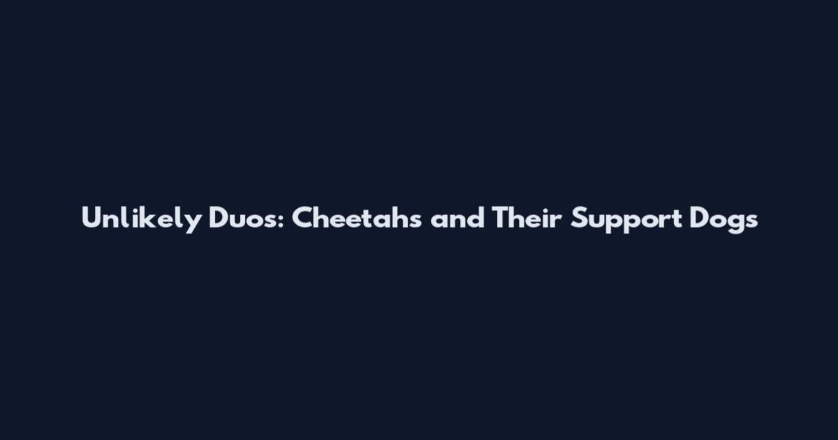 Unlikely Duos: Cheetahs and Their Support Dogs