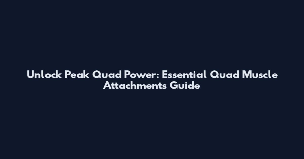 Unlock Peak Quad Power: Essential Quad Muscle Attachments Guide