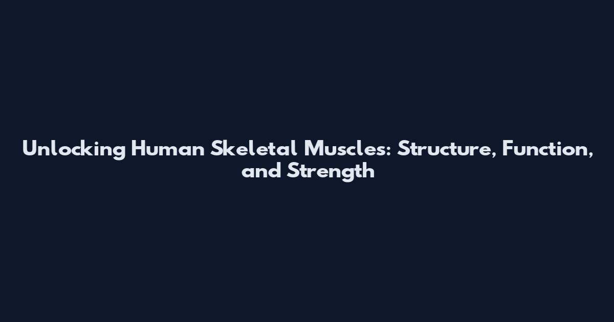 Unlocking Human Skeletal Muscles: Structure, Function, and Strength