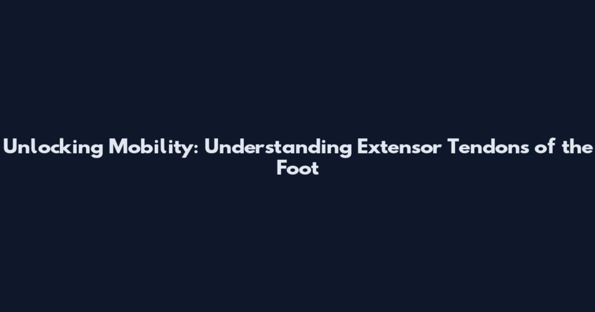 Unlocking Mobility: Understanding Extensor Tendons of the Foot