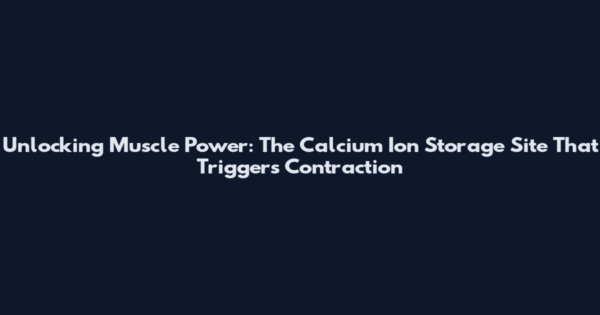 Unlocking Muscle Power: The Calcium Ion Storage Site That Triggers Contraction