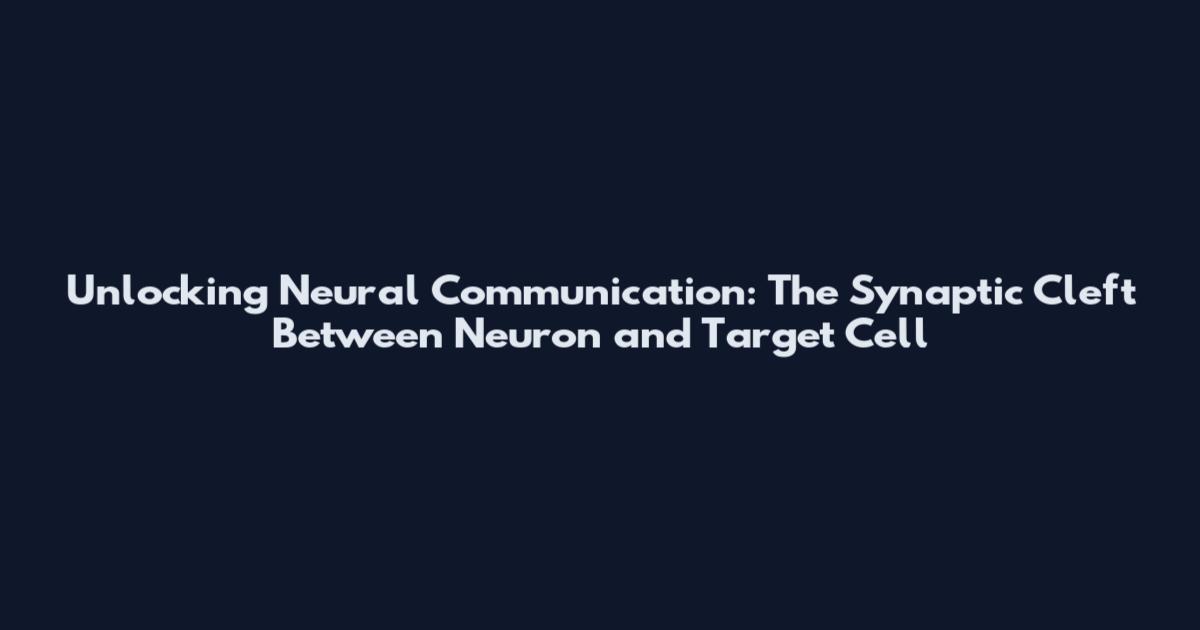 Unlocking Neural Communication: The Synaptic Cleft Between Neuron and Target Cell