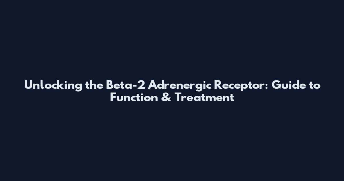 Unlocking the Beta-2 Adrenergic Receptor: Guide to Function & Treatment