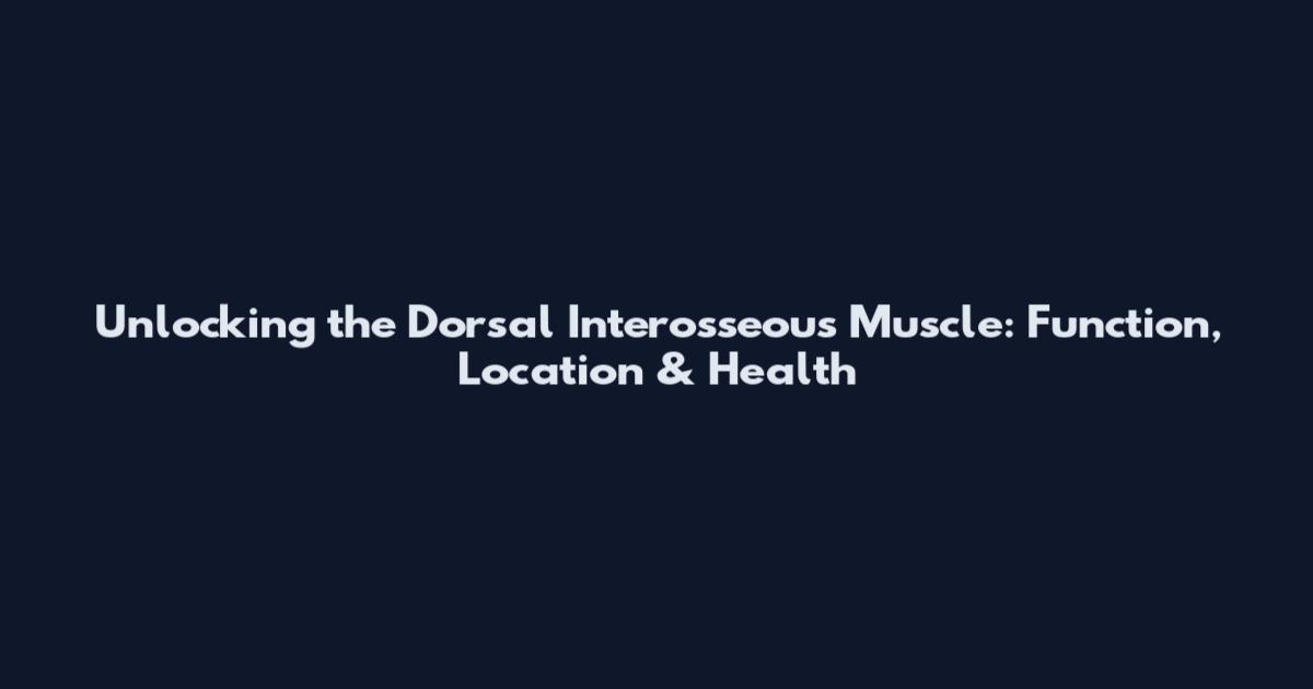 Unlocking the Dorsal Interosseous Muscle: Function, Location & Health