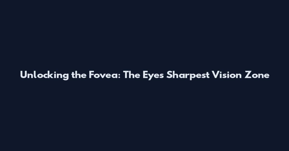 Unlocking the Fovea: The Eye's Sharpest Vision Zone