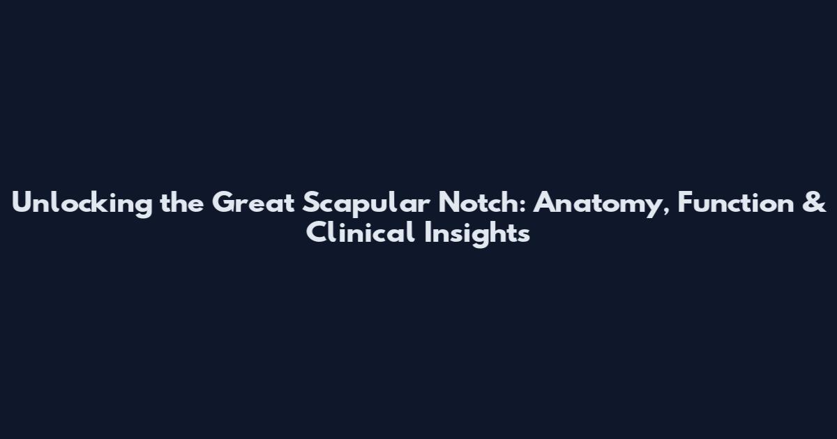 Unlocking the Great Scapular Notch: Anatomy, Function & Clinical Insights