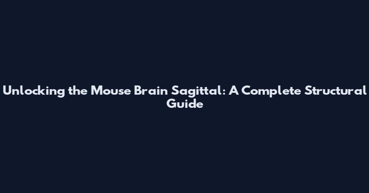 Unlocking the Mouse Brain Sagittal: A Complete Structural Guide