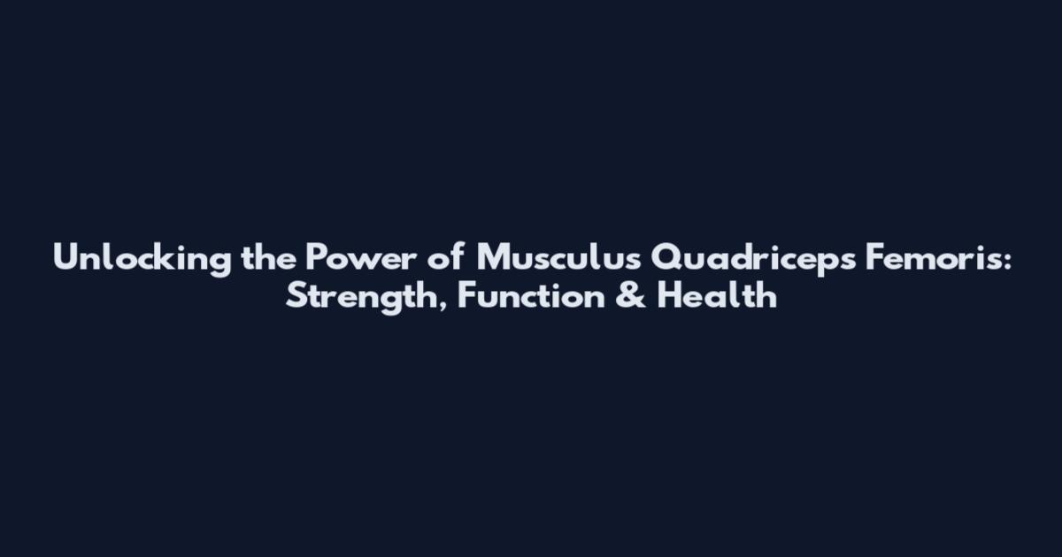 Unlocking the Power of Musculus Quadriceps Femoris: Strength, Function & Health