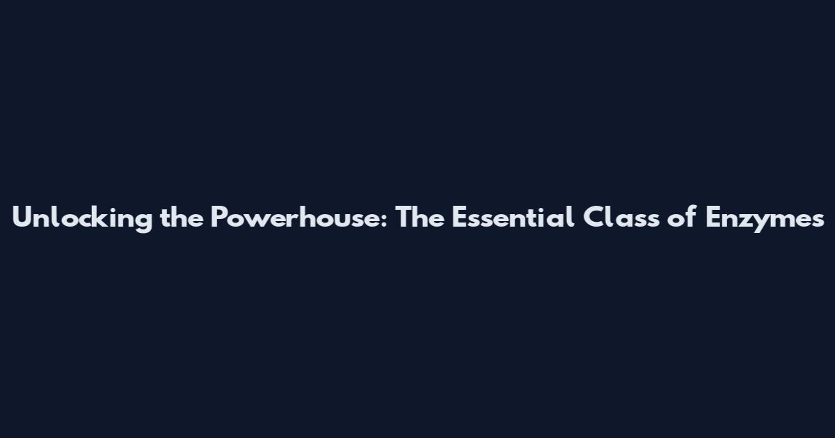 Unlocking the Powerhouse: The Essential Class of Enzymes