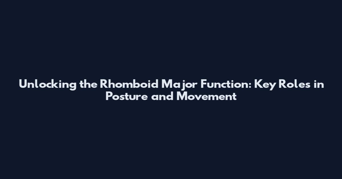 Unlocking the Rhomboid Major Function: Key Roles in Posture and Movement