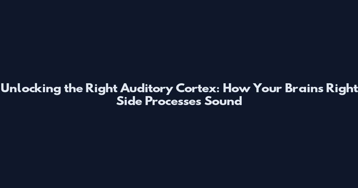 Unlocking the Right Auditory Cortex: How Your Brain's Right Side Processes Sound